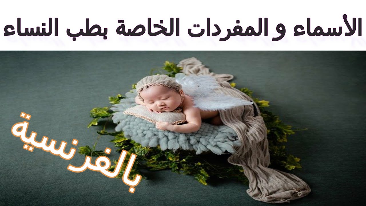 تعلم أسماء و مفردات الخاصة بأمراض و طب النساء بالفرنسية Le vocabulaire de la gynécologie