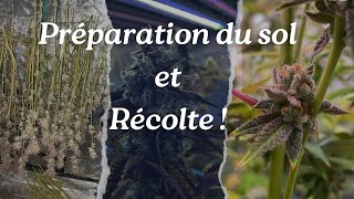 JDB#199: Préparation du sol & Récolte !