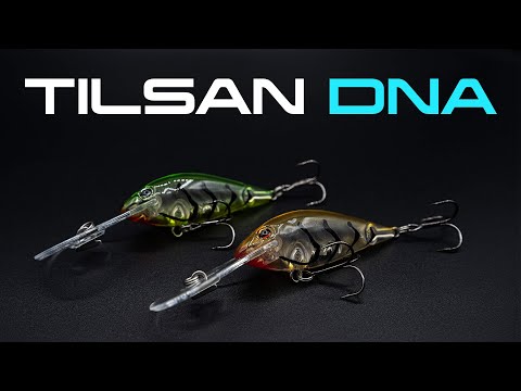 TILSAN DNA -