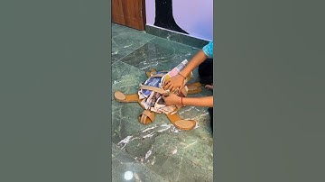 Craft a Cardboard Turtle: Easy and Creative DIY #diy #diycraft #short #ytshort #funactivities