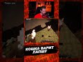 КОШКА ВАРИТ ЛАПШУ #zakviel #zakvielchannel #заквиель #twitch #minecraft