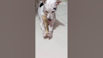 Cục xương muốn bự em nó luôn 😁