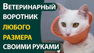 Ветеринарный воротник любого размера своими руками