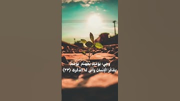 سورة الفجر 🤍#follow #like #subscribe #foryou #instagram #life #new #reels #story #tiktok