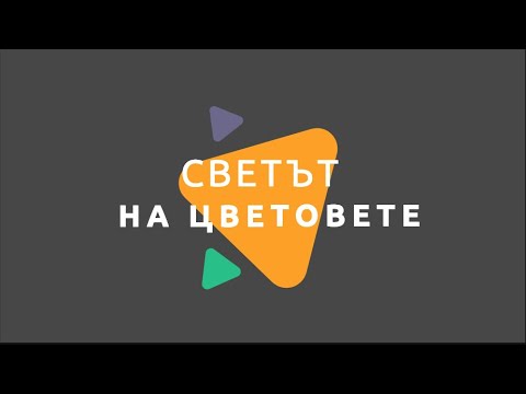 Видео: Какво означават цветовете на Параментите?