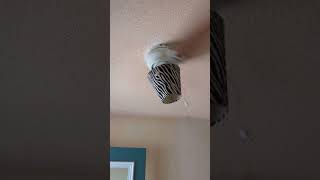 5 Ceiling Fans Wobbling With Iphone Ringtone