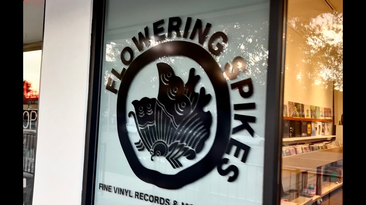 THE COOLEST RECORD STORE IN LOS ANGELES..? (Yes!) - Take a guided tour...