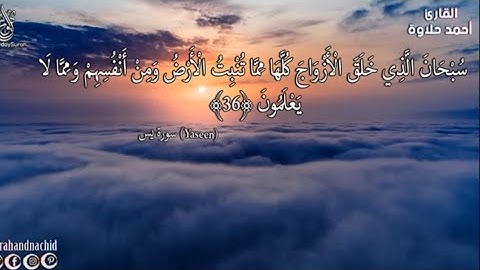 سورة يس كاملة |القارئ أحمد حلاوة #قرآن #fyp #أحمد_حلاوة #quran