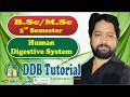 B.Sc /M.Sc -2 Human Physiology ( Digestive Systum)