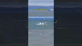 Mi-14 PS Helicopter crashed into water Mi-14 PS Helicopter crashed into water