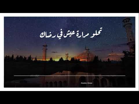 إبتهالات النقشبندي مولاي إني ببابك حالات واتس فيديو عربي كليب 