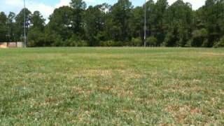 Trex 250.MOV