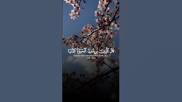 #تلاوة من #سورة_القصص بصوت #سعود_الشريم #قران #قرآن_كريم #آيات #استغفرالله #الحمدلله #quran