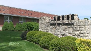 The Angus Report, June 18, 2012: Top Industry News