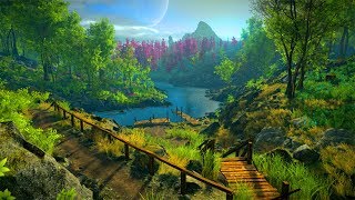 Elder Scrolls 6 Engine ▷ REAL FOOTAGE, 1080p