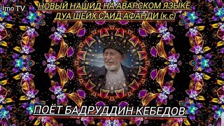 НОВЫЙ НАШИД НА АВАРСКОМ ЯЗЫКЕ. ДУА ШЕЙХ САИД АФАНД (К.С) ПОЁТ БАДРУДДИН КЕБЕДОВ