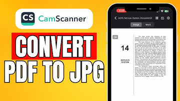 Hoe PDF naar JPG converteren in Camscanner (2024) Snelle handleiding