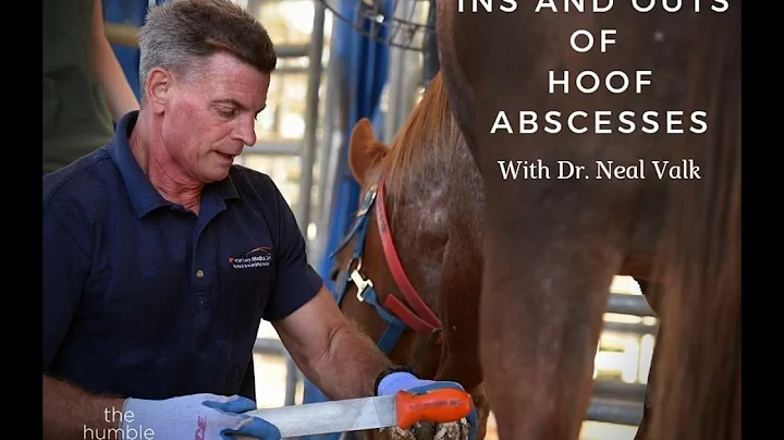 The Ins and Outs of Hoof Abscesses with Dr. Neal V...