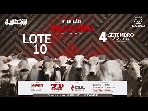 LOTE 10 - 5º LEILÃO FACCHINI 04/09/2021