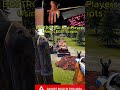 Using LEGIT Scripts to DESTROY Players in Rust! ( Scripts in BIO! ) #rust #rustgame #gaming #fyp