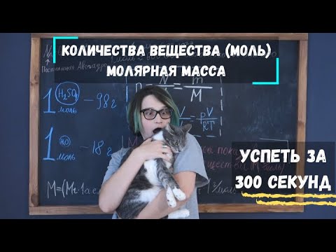 Успеть за 300 секунд, #4: Количества вещества (моль), молярная масса