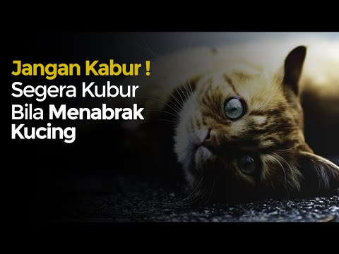 Video: Membakar Isterinya Secara Tidak Sengaja Dan Meninggalkannya