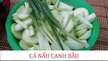 CÁ LÓC CÁ RÔ  NẤU CANH BẦU  cho bửa CƠM gia đình thêm ngon