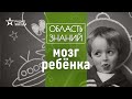 Любопытство и игра: особенности развития мозга у детей. Лекция нейробиолога Вячеслава Дубынина