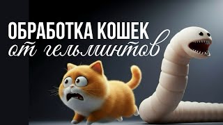 Как часто и чем обрабатывать кошку от глистов | Советы ветеринара