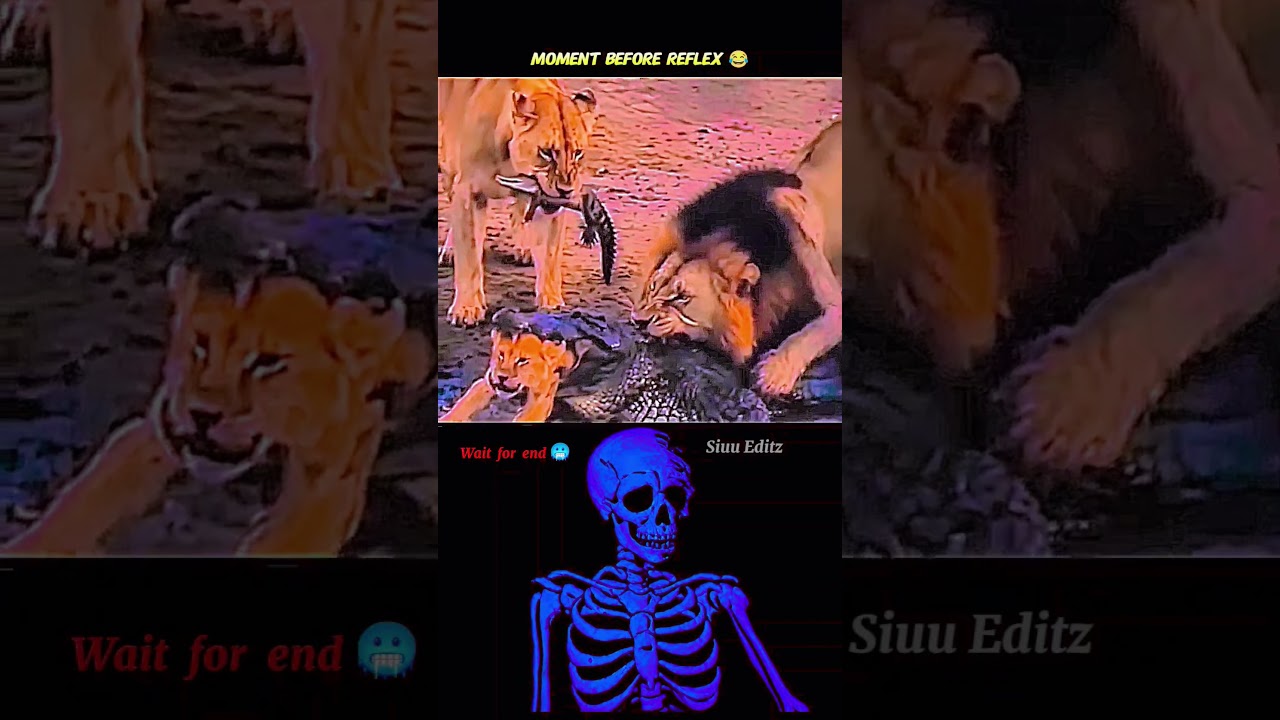 #edit