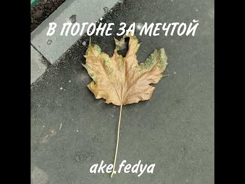 В ПОГОНЕ ЗА МЕЧТОЙ - Ake fedya