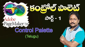 Control Palette in PageMaker 7 0   Pointer Mode