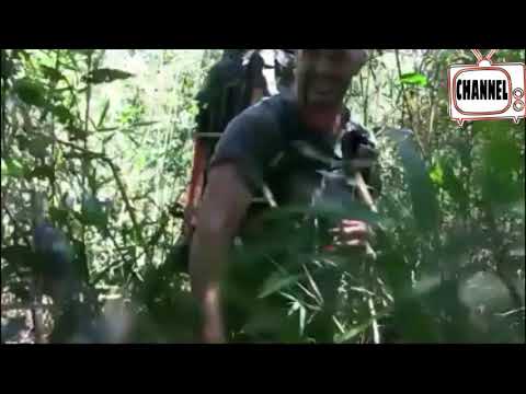 ED STAFFORD ile Bilinmeyene Yolculuk. Bölüm01 Part01