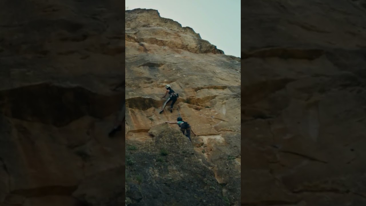 LA FIERA | ¿Hasta arriba? | YA en cines