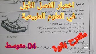 إختبار الفصل الأول في العلوم الطبيعية السنة الرابعة متوسط 2023