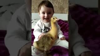 طفل مع فرخ البط || baby with duckling