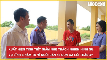 Xuất hiện tình tiết giảm nhẹ trách nhiệm hình sự vụ lĩnh 6 năm tù vì nuôi bán 13 con gà lôi trắng?