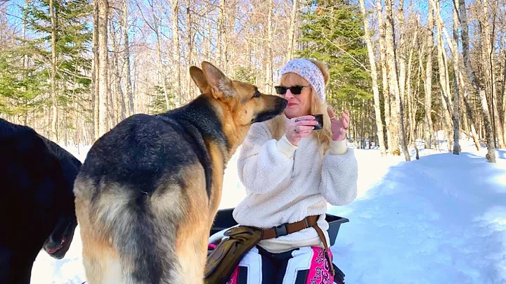 Our Peaceful Winter Forest in the Keweenaw | Nature is Great Therapy | UP of Michigan