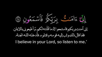 ما تيسر من سورة ياسين - من تراويح رمضان
