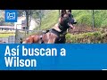 A Wilson, el perro rescatista, lo buscan con perrita en celo