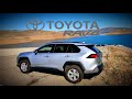 2020 Toyota RAV4 After One Year | More Good than Bad