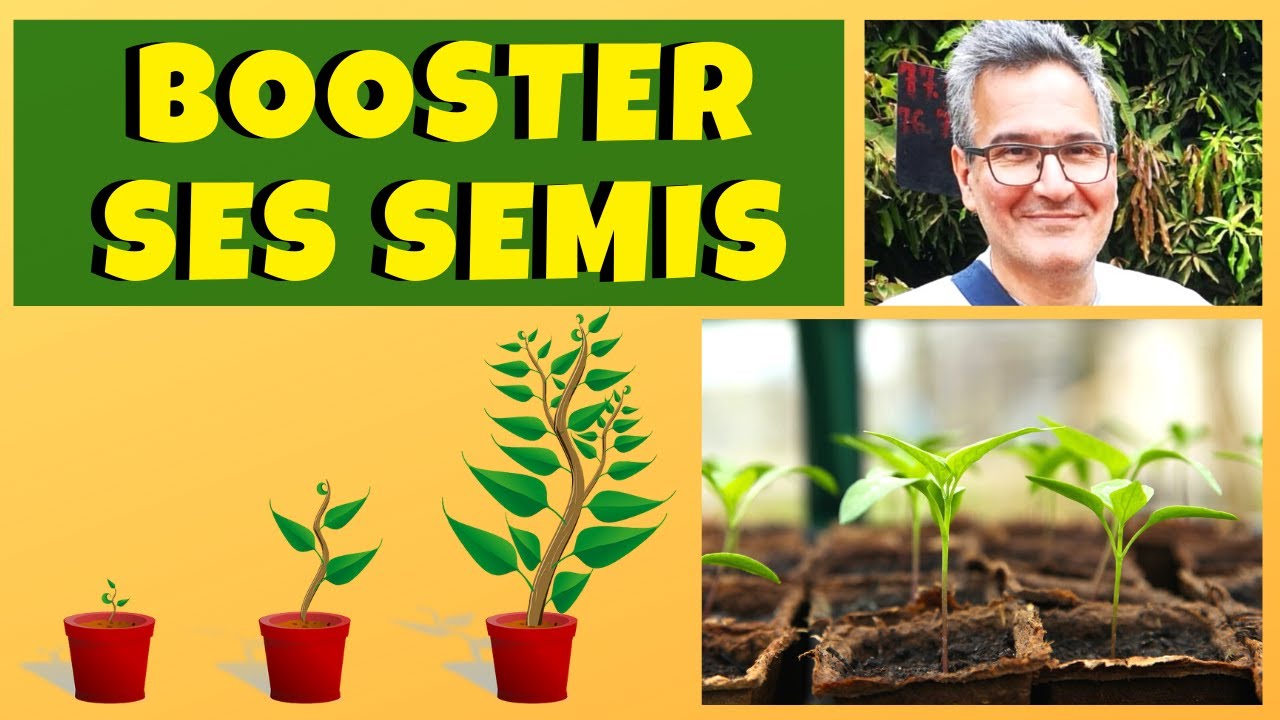 3 engrais naturels et gratuits pour booster les semis en azote