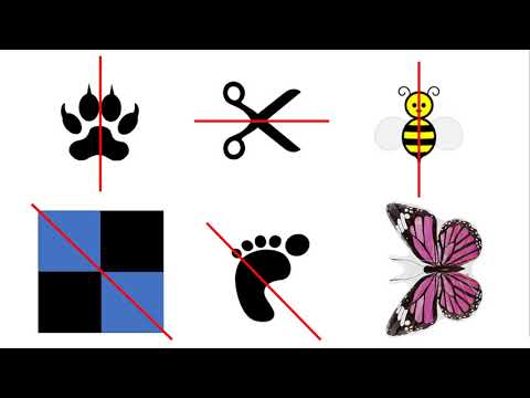 Video: Što Je Simetrija