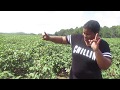 The Black Farmers In America -  A Black Female Farm History & Story  How we got paid 2