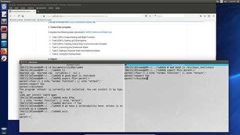 Lab04 SEED 1.0 Shellshock Attack Lab Part1