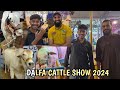 Dalfa cattle show 2024  cow mandi 2024 new collection dalfa cattle show 2024 ar maani