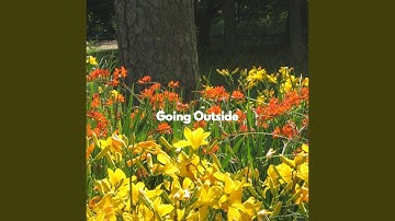 Happy Duo - Vibe for Individual Mind