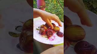 fruits cuttingfruit shorts beautiful trending 