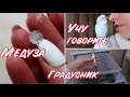 ПОПУГАИ, УЛИТКИ И АВКАРИУМ || УЧУ ТОШУ ГОВОРИТЬ || ДОСТАЛА МЕДУЗУ😃