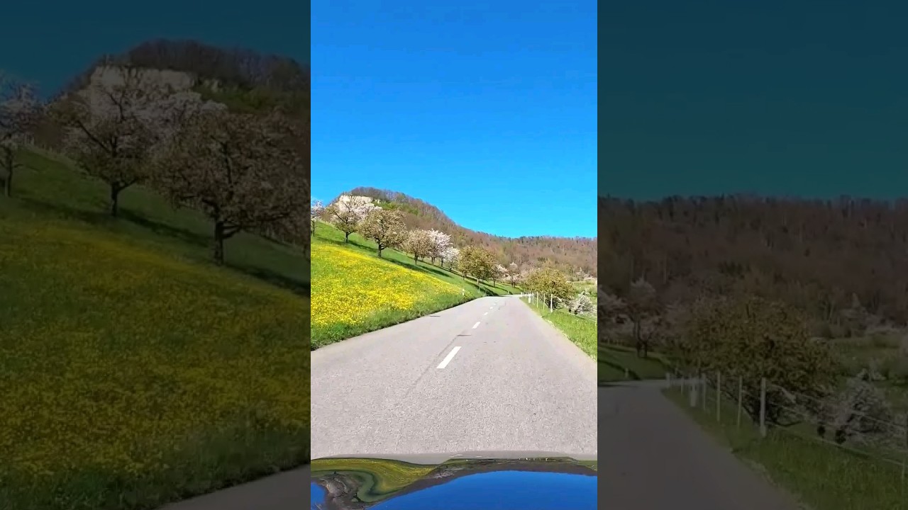 Spring in Jura Mountains #switzerland #shorts